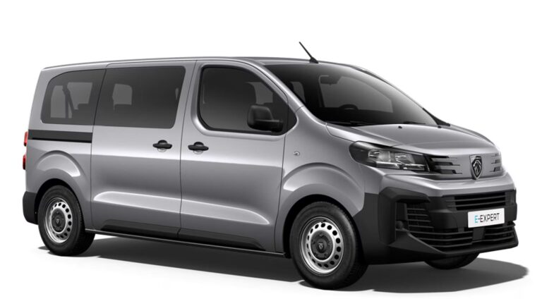 Peugeot E Expert Combi - Bourg-Blanc, Gouesnou